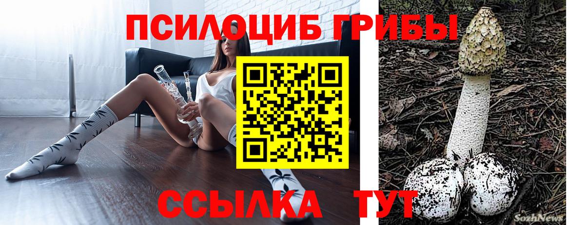 Галлюциногенные грибы Cubensis Артём