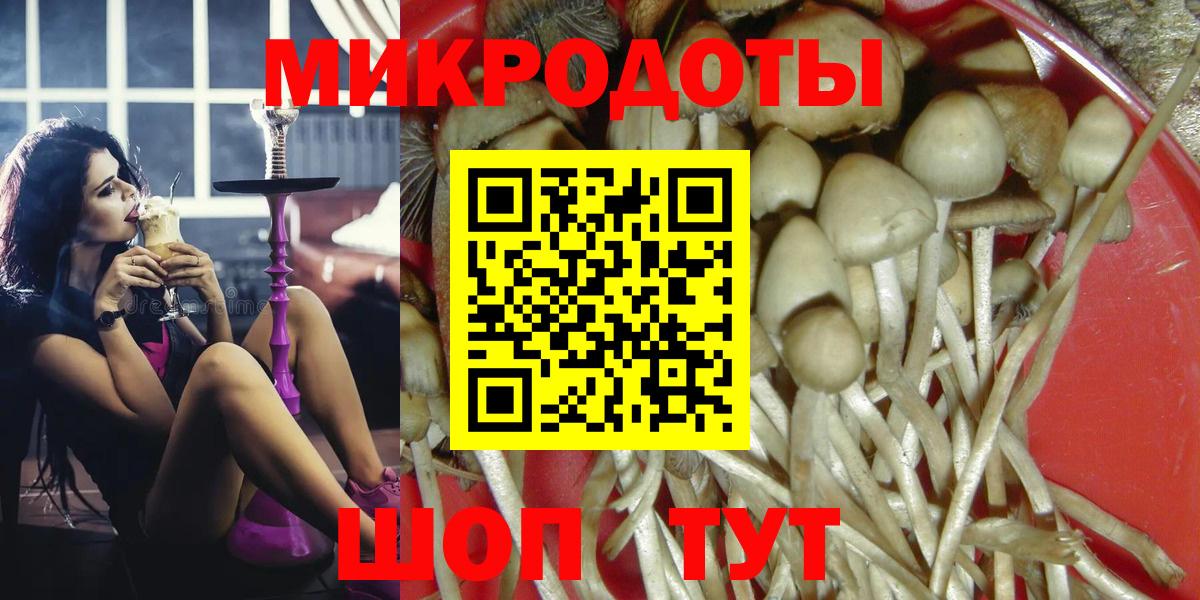 Артём  Псилоцибиновые грибы MAGIC MUSHROOMS  Вход с VPN  Галлюциногенные грибы Magic Shrooms 